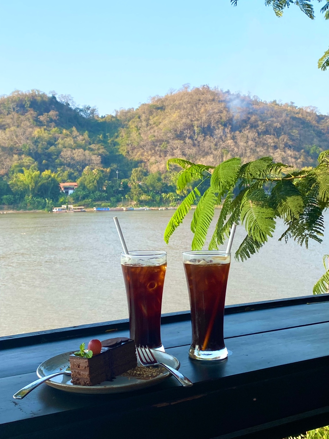T56 mekong river view