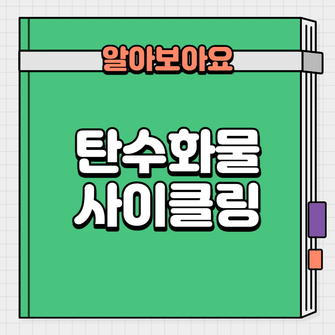  탄수화물 사이클링의 개념과 원리
