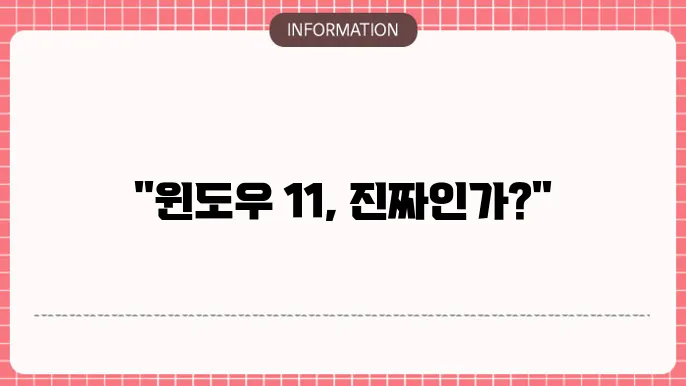 windows 11 정품인증