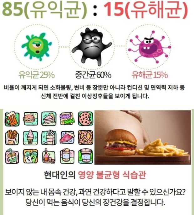 인스턴트 식품은 유해균을 키움