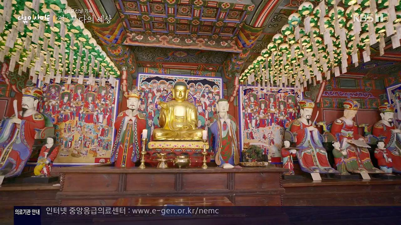 다큐 인사이트.E185.240517p-NEXT.mp4_20240517_202645.398.jpg