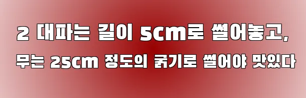  2 대파는 길이 5cm로 썰어놓고, 무는 25cm 정도의 굵기로 썰어야 맛있다