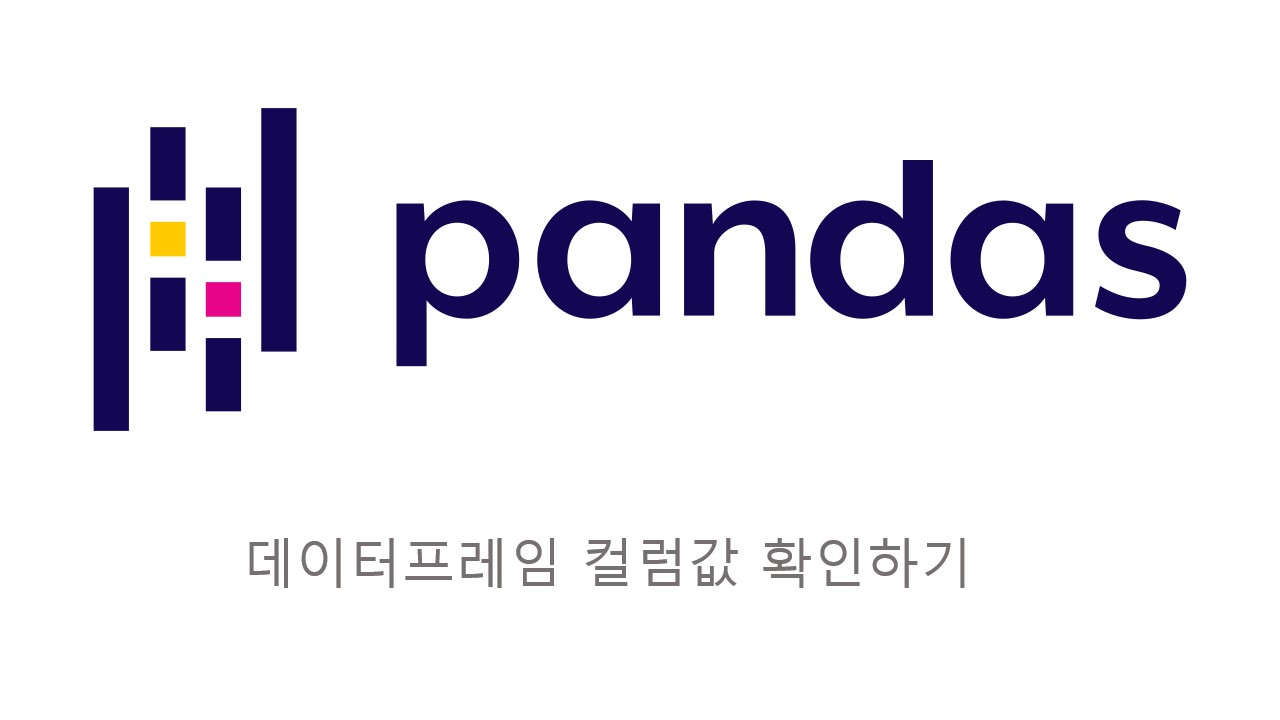  [Pandas] 데이터 프레임 컬럼값 확인하기