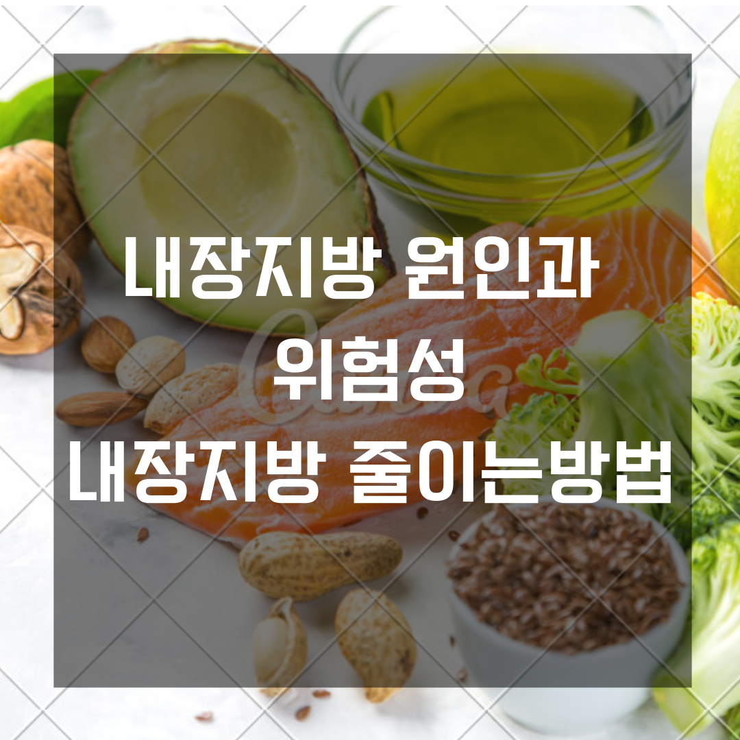  말라도 다이어트가 필요한 이유 내장지방 빼는법