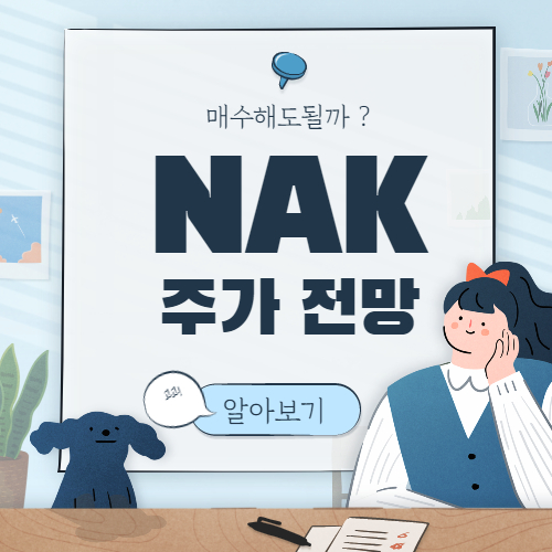  NAK 주가 전망 :: 노던 다이너스티 미네랄스 NAK 주식 미국 구리 관련주식
