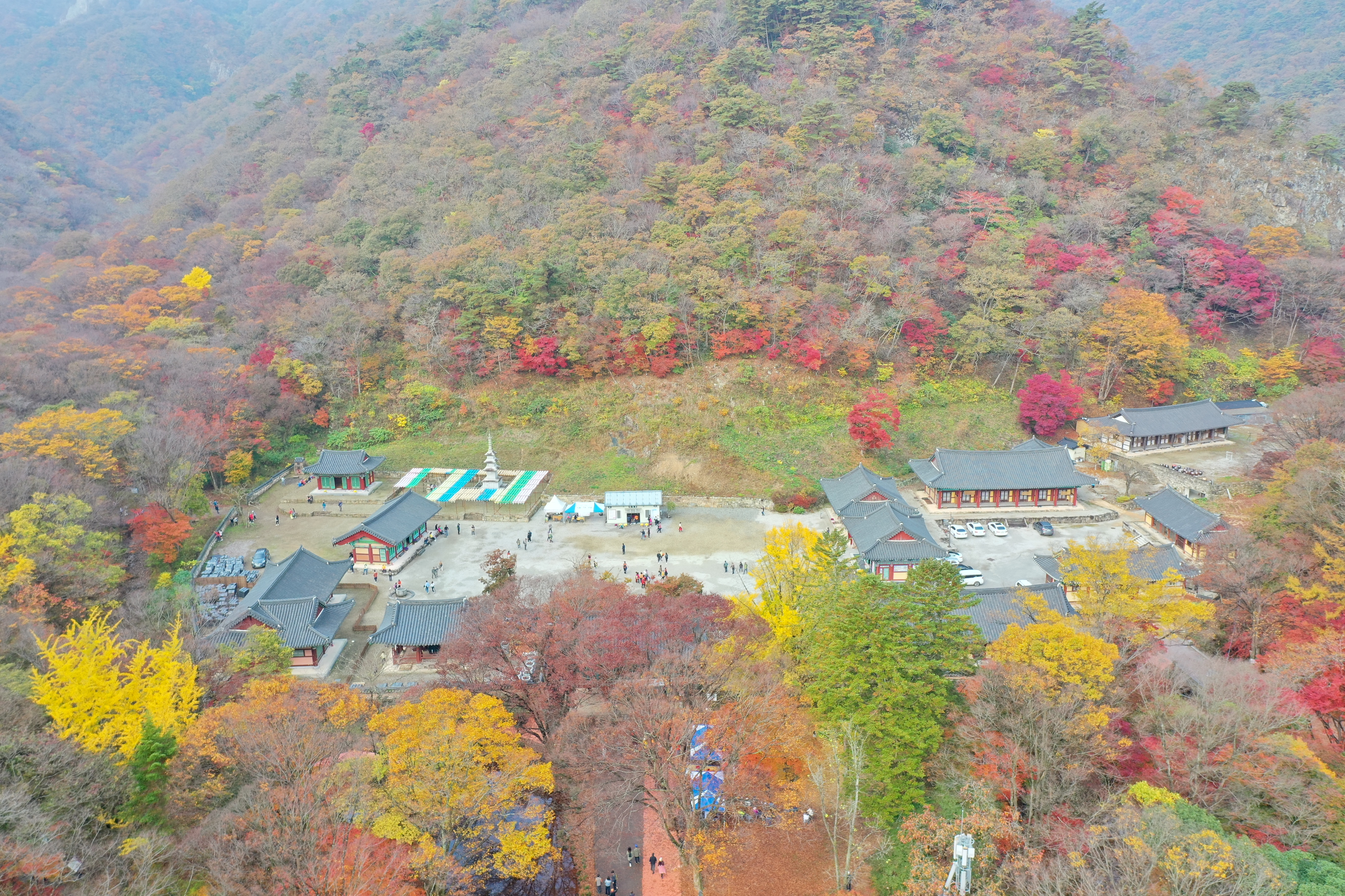 내장산 단풍