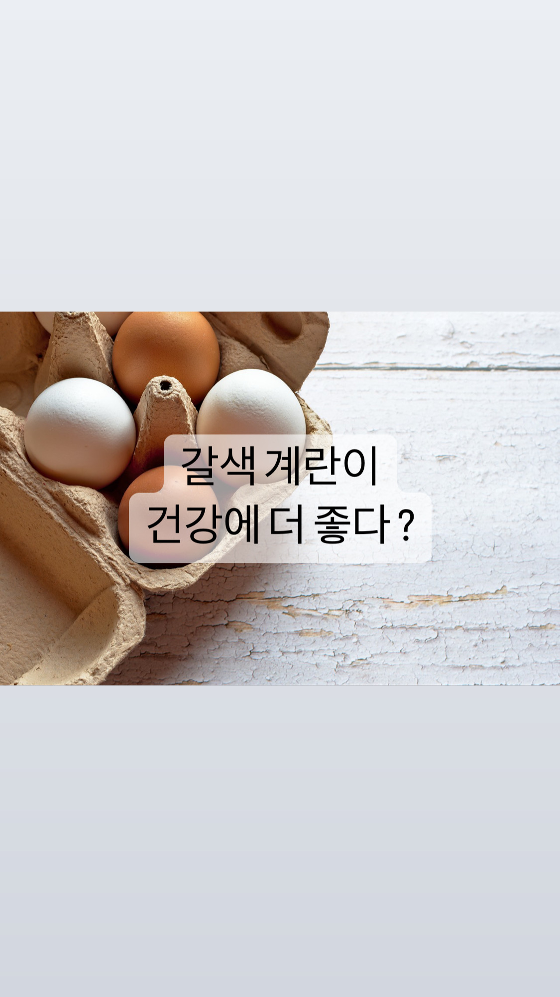  [생활]흰 계란  갈색 계란 무슨 차이?