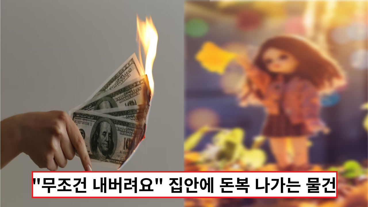  "무조건 내버려요" 집안에 숨겨진 돈복 나가는 물건