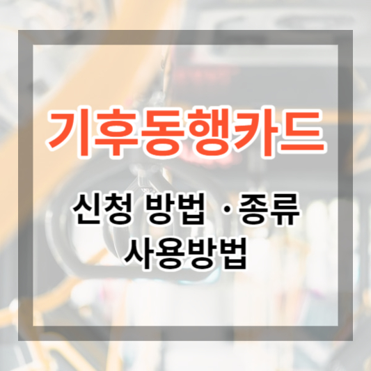  기후동행카드 신청 방법 및 사용방법, 종류, 서울 대중교통 월정액으로 무제한 이용하기