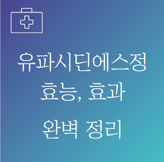 유파시딘에스정