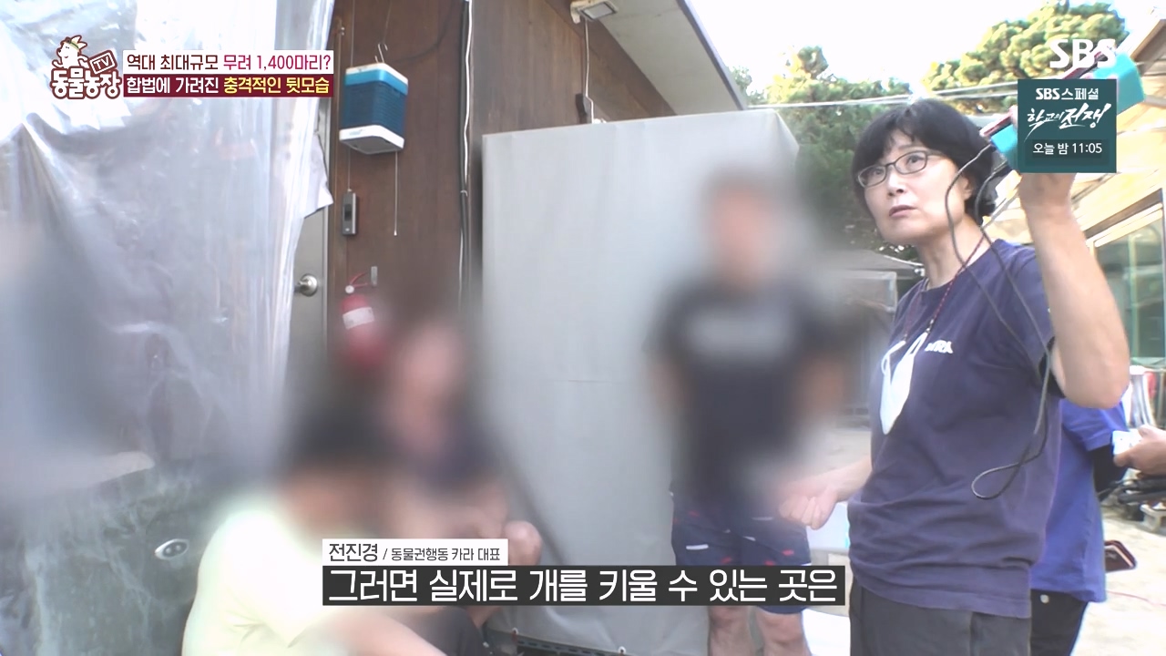 TV 동물농장.E1142.231023p-NEXT.mp4_20231022_172150.025.jpg