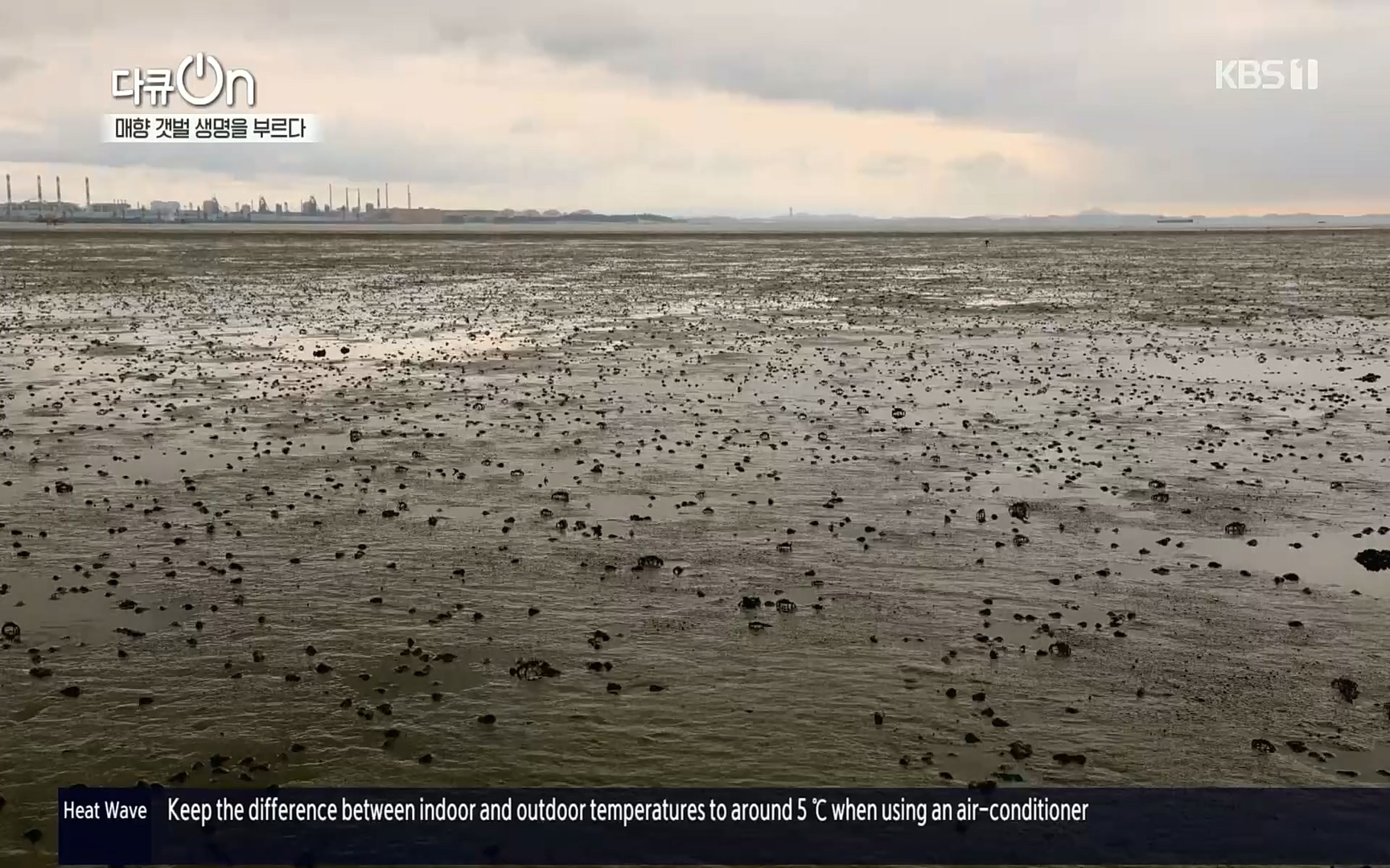 다큐 On.E151.220805p.H264-F1RST.mp4_20220806_193406.882.jpg