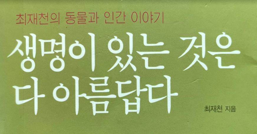  우리나라 인구 감소와 입양아동에 대해