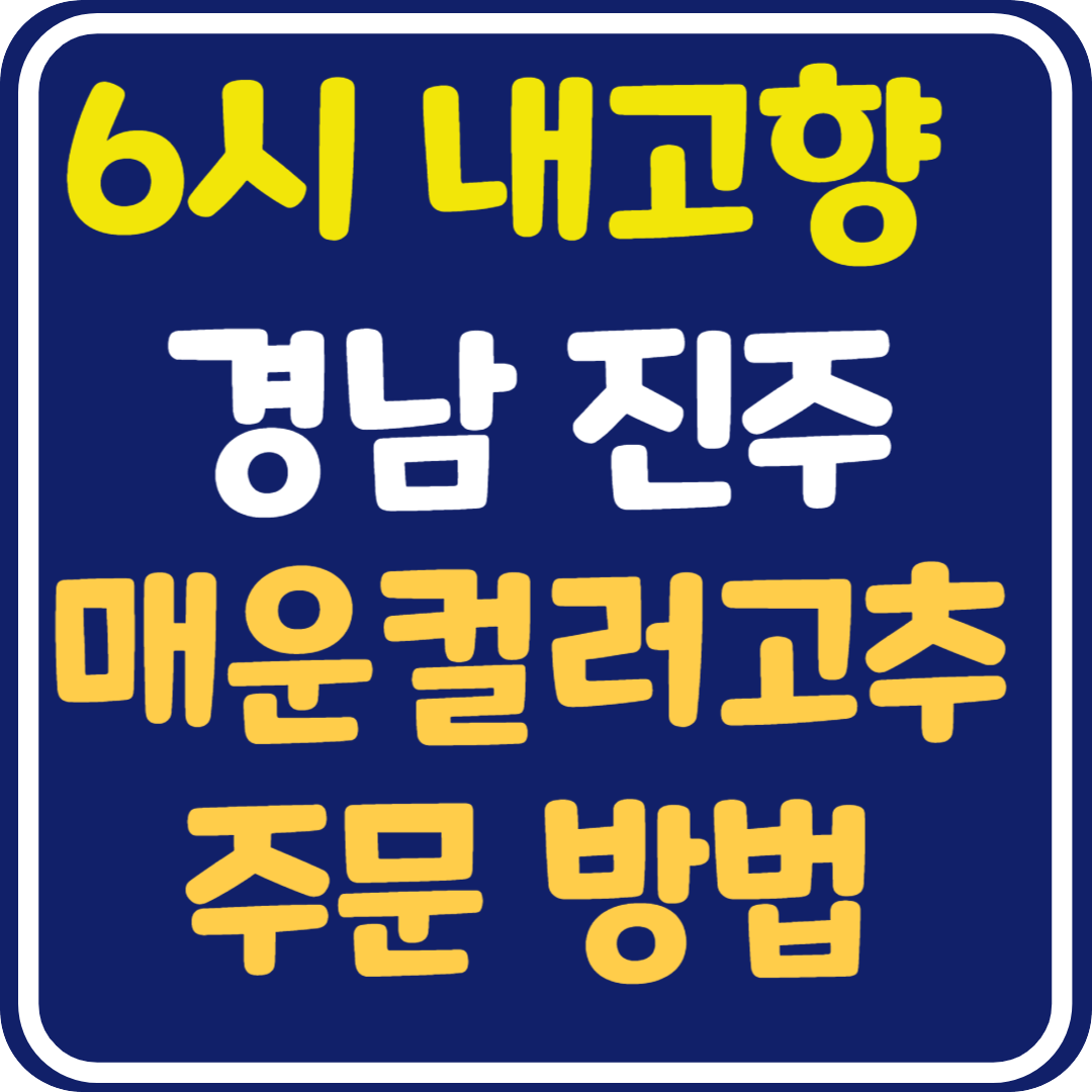 6시 내고향 경남 진주 매운 컬러고추 주문 방법