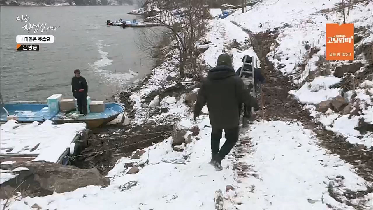 나는 자연인이다.E540.230209p.H264-F1RST.mp4_20230209_203723.288.jpg