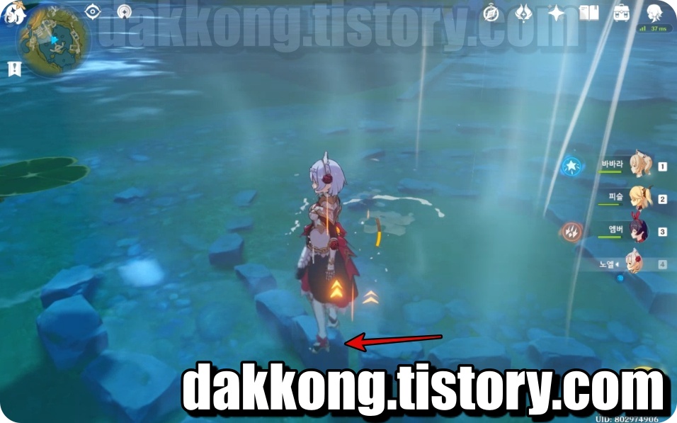 바닥에 살짝 올라온 돌