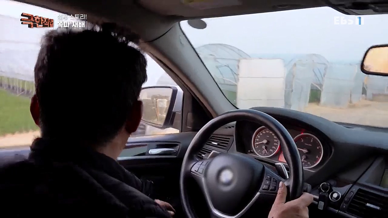 TV - 교육의 중심 EBS성공 스토리! 쪽파 재배와 과일 도매.mp4_20221209_203555.647.jpg