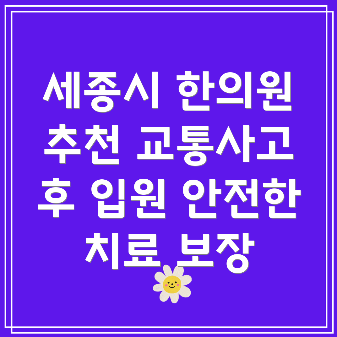 세종시 교통사고 한의원