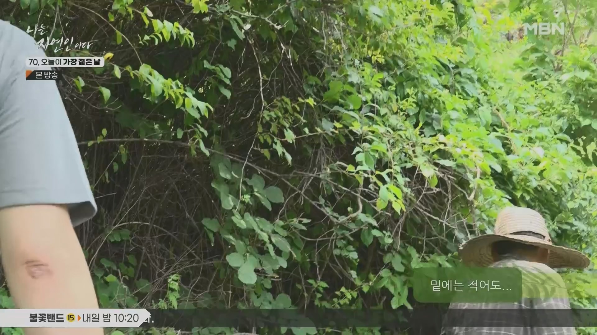 나는 자연인이다.E565.230802p.H264-F1RST.mp4_20230803_203355.033.jpg