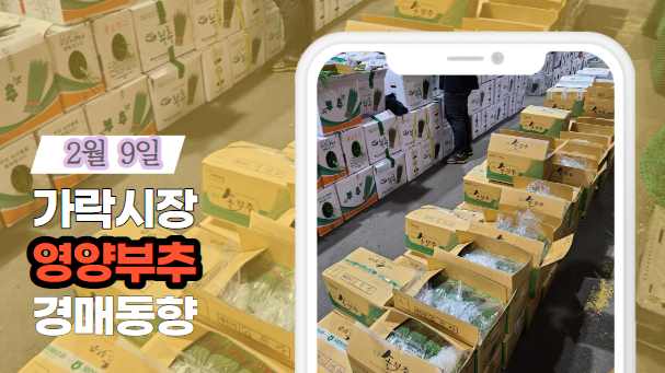  경매사시험에 꼭 출제돼요~ 유통마진(율)!