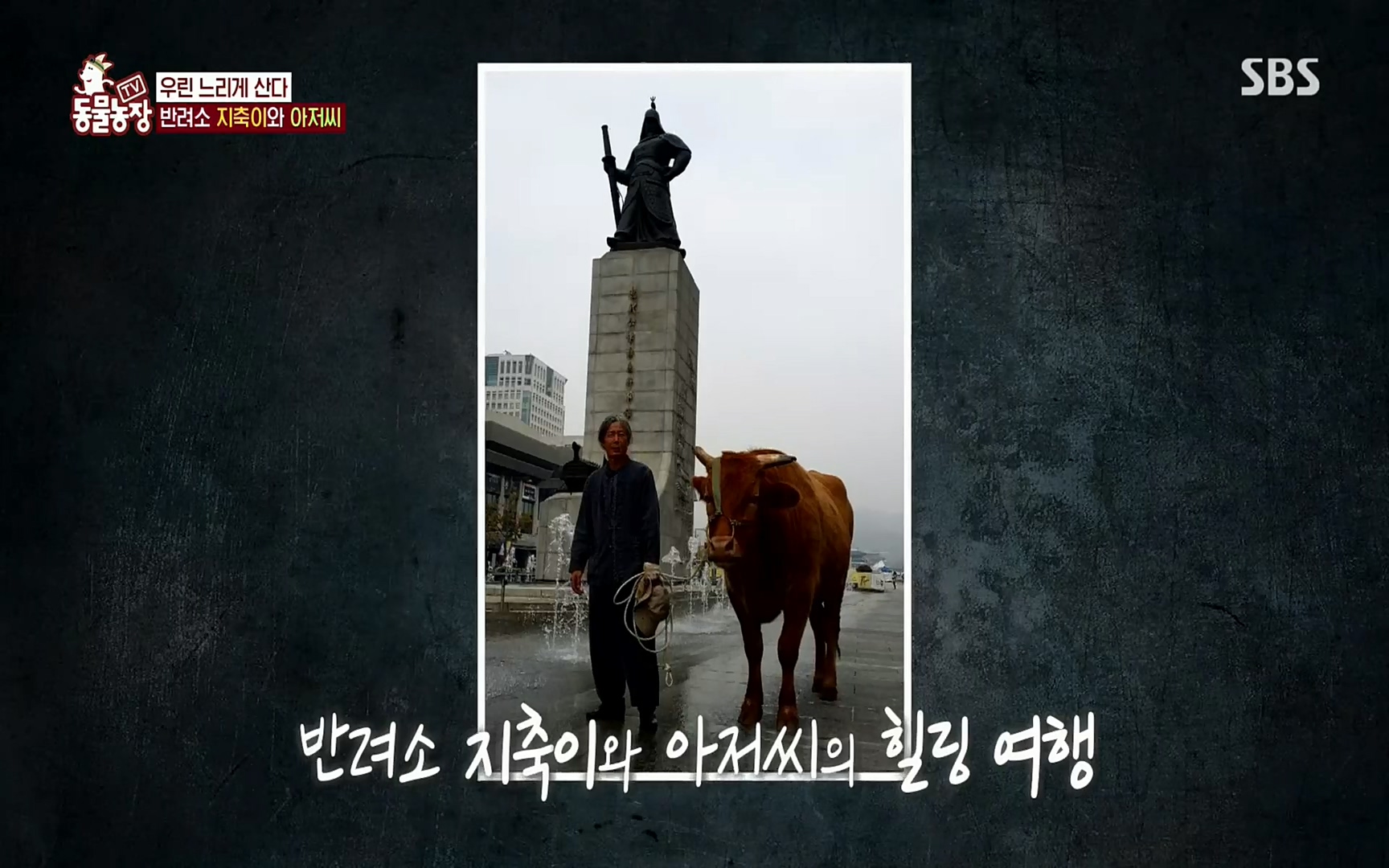 TV 동물농장.E1074.220619p.H264-F1RST.mp4_20220619_181512.153.jpg