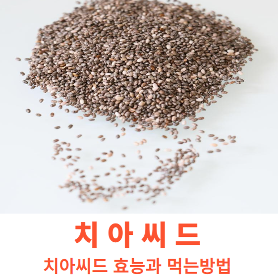 치아씨드란? 치아씨드 효능 및 치아씨드 먹는방법