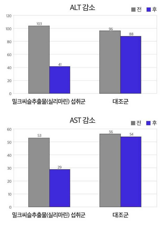 밀크씨슬 인체적용시험 결과