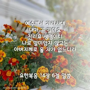 마가복음 16장 예수 그리스도 부활 말씀_25