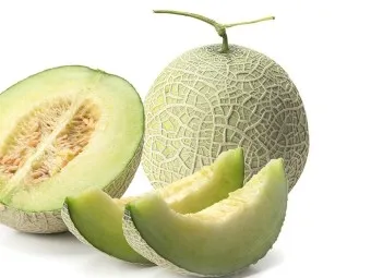 멜론 해지 서비스 중단 방법 안내 센터 해제법_3