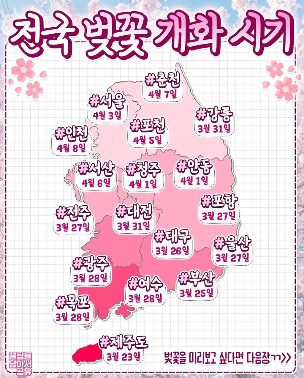 전국 벚꽃 개화시기 2025년 벚꽃지도 벚꽃명소 벚꽃축제 벚꽃여행코스
