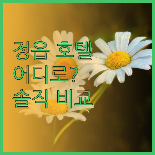 정읍 호텔 어디로 갈까 엘리스테이 v