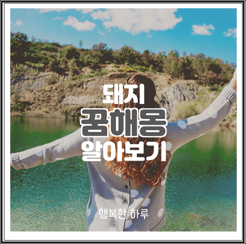  돼지 꿈해몽 알아보기