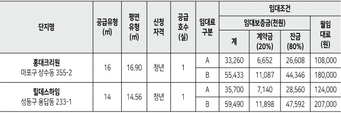 2024년-청년안심주택-재공급임대조건4