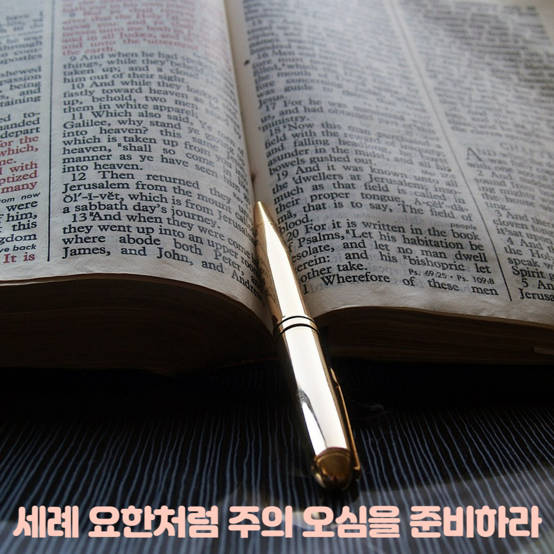 설교 말씀 - 세례 요한처럼 주의 오심을 준비하라