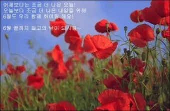 6월 인사말 모음집_11