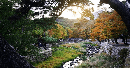 청와대 관람신청