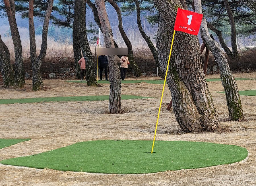 농암 대정파크골프장. 경상북도 문경시 농암면 종곡리 71-3