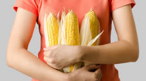 옥수수 효능 영양성분 칼로리 FAQ 자주 묻는 질문 