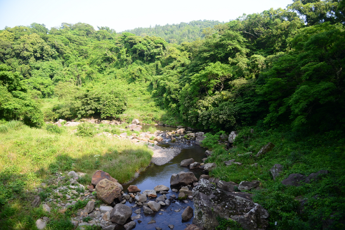 Discovering Jeju&#39;s Beauty