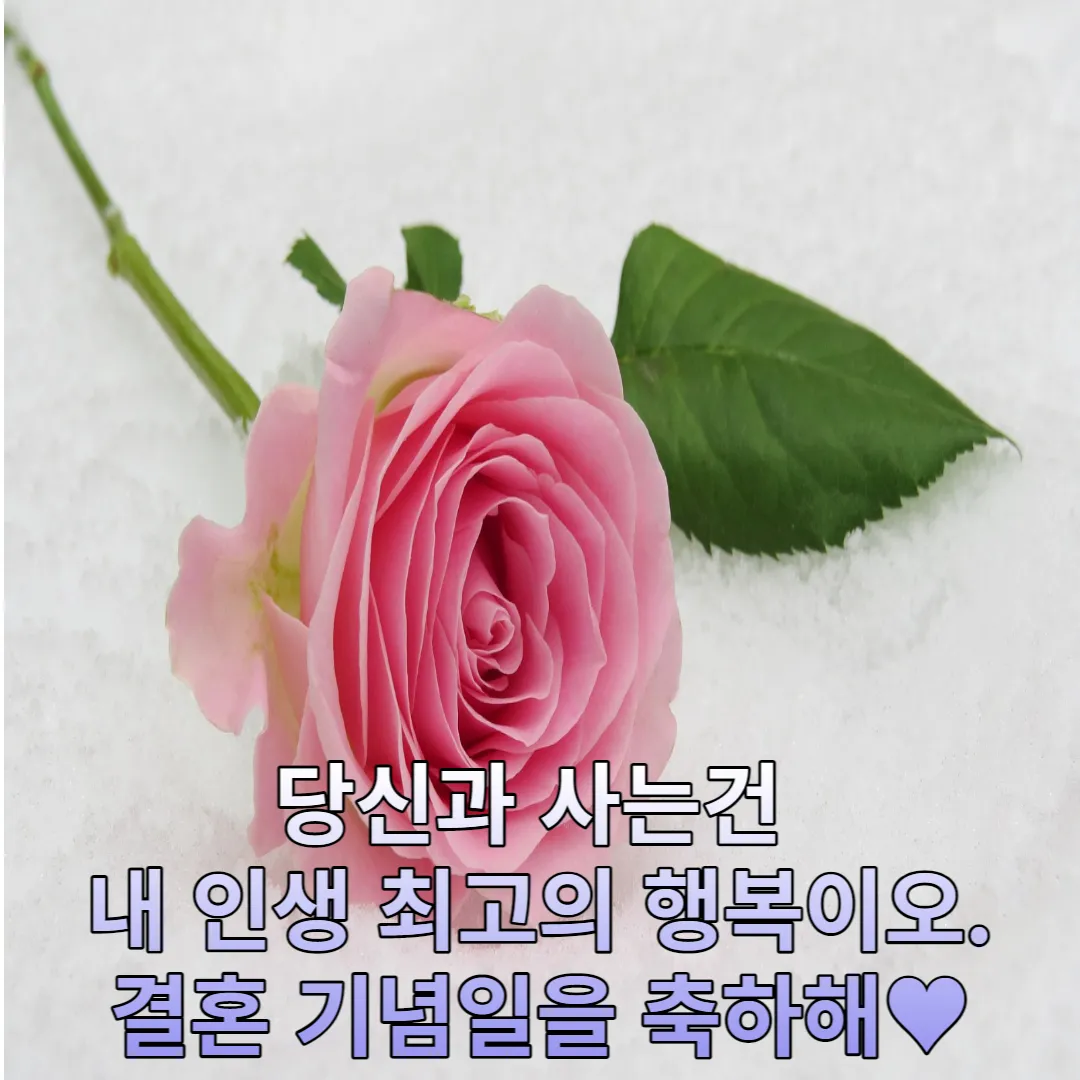 결혼기념일-축하-문자-메세지