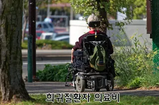 희귀질환자 의료비 지원