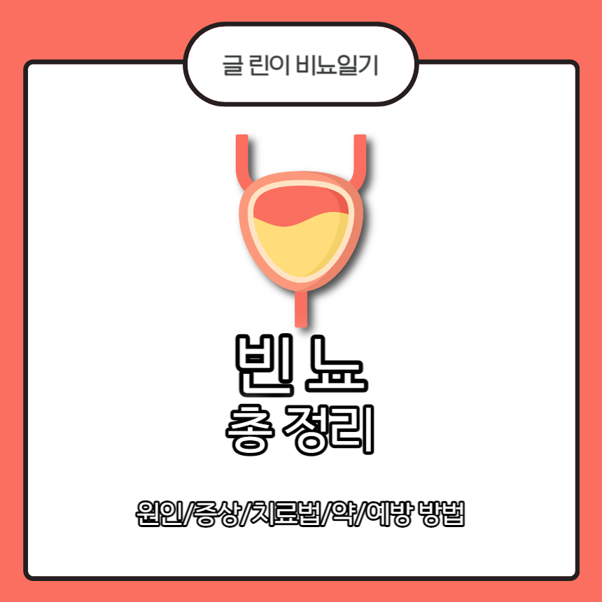  빈뇨 총 정리 : 원인/증상/치료법/약/예방 방법