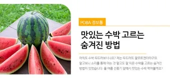 맛있는 수박 고르는법 5가지 feat 좋은 수박 암수 구별법_34