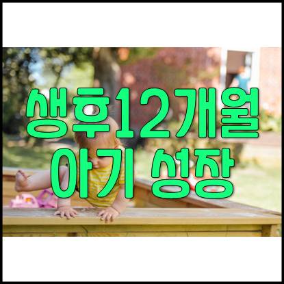  생후 12개월 아기 성장 발달 과정 및 육아(소아비만, 식습관, 대소변 가리기, 변비)