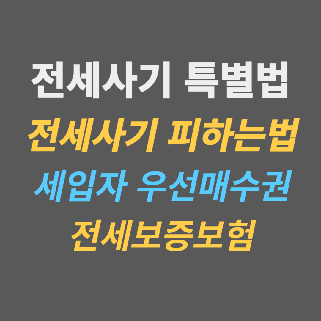 전세사기 피하는법 세입자 우선매수권/전세사기 특별법