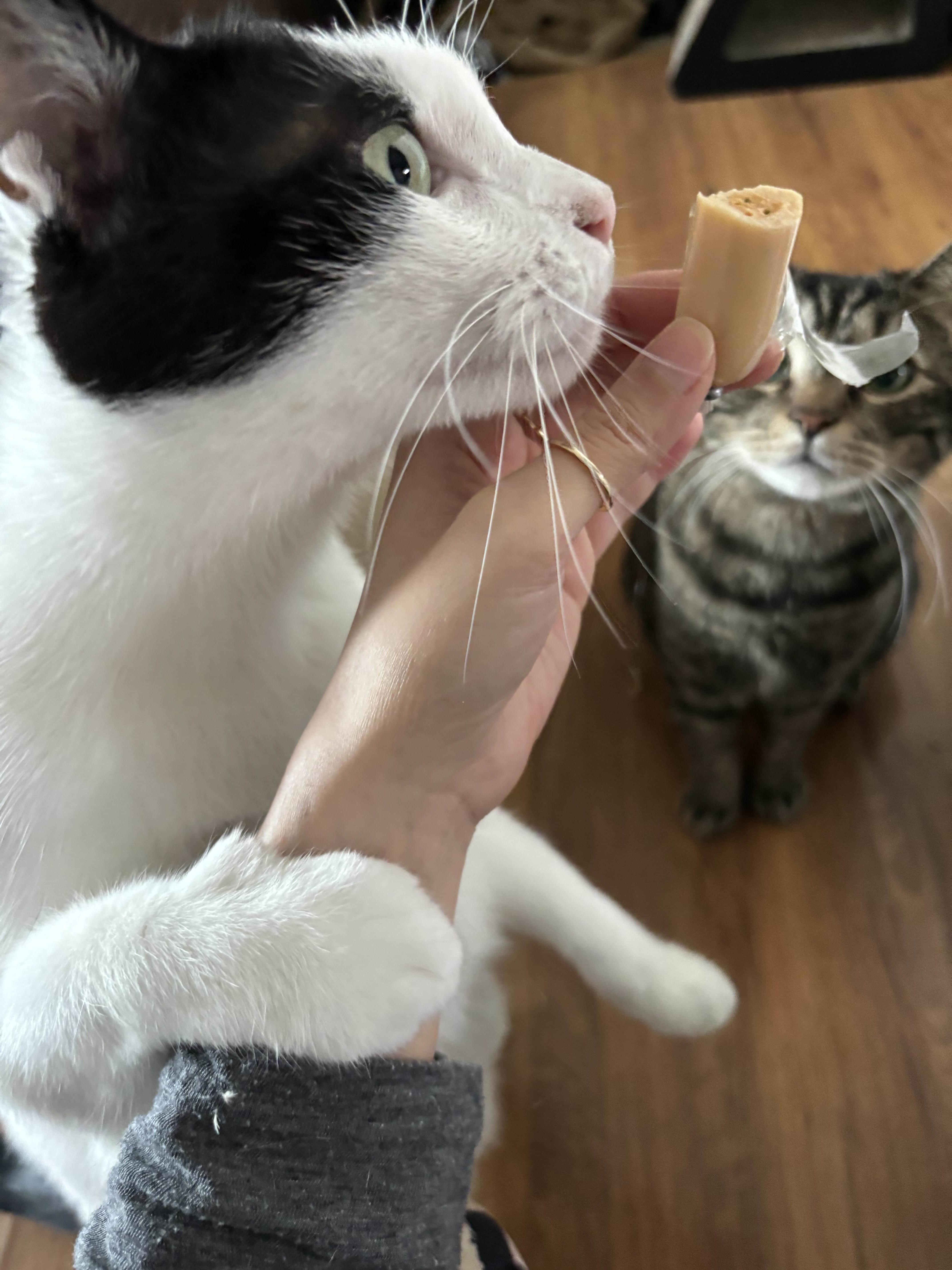 alt 태그