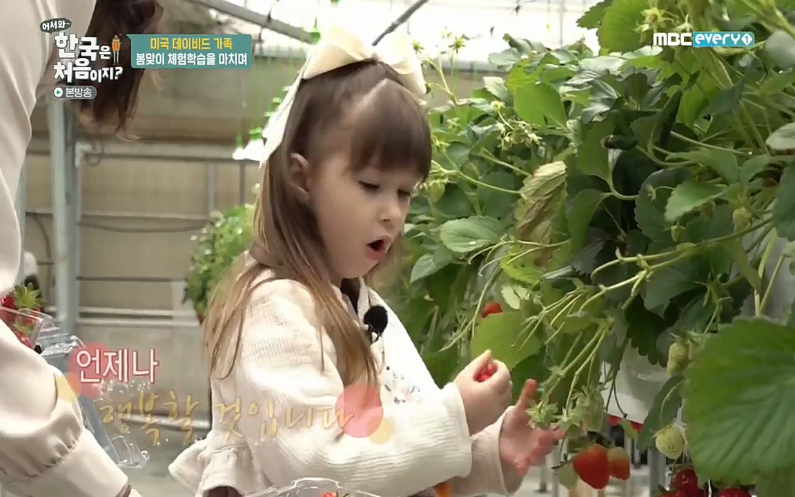 어서와 한국은 처음이지 시즌2.E206.220415p-NEXT.mp4_20220415_181322.726.jpg