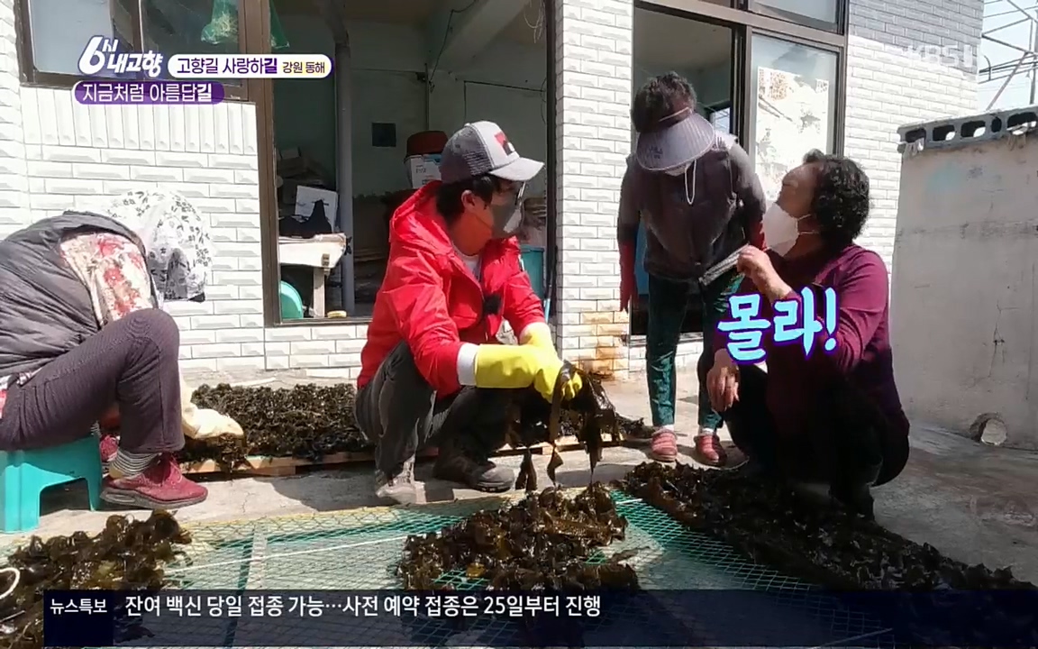 6시 내고향.E7512.220416p.H264-F1RST.mp4_20220502_192022.498.jpg