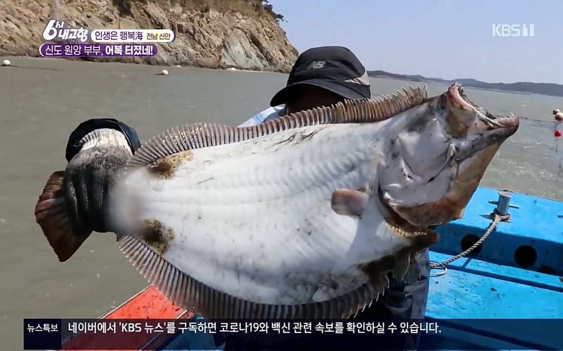 6시 내고향.E7518.220426p.H264-F1RST.mp4_20220504_192333.911.jpg