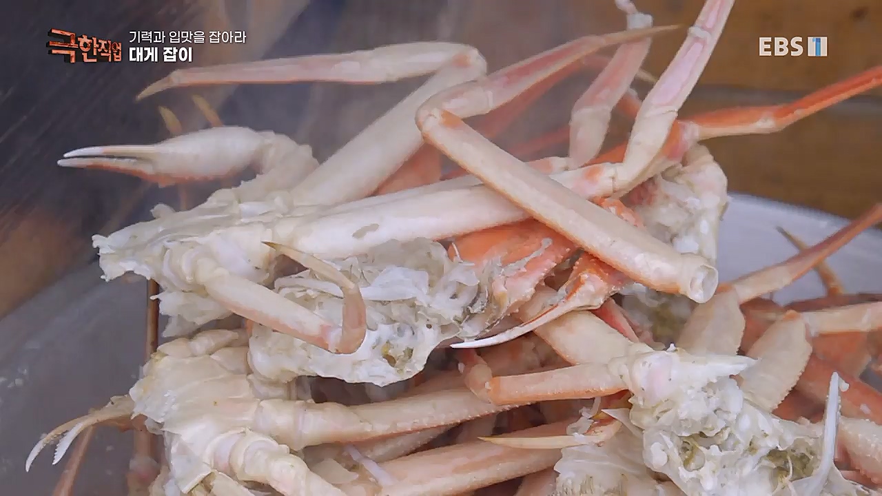 TV - 교육의 중심 EBS기력과 입맛을 잡아라 장어와 대게.mp4_20230313_183620.037.jpg